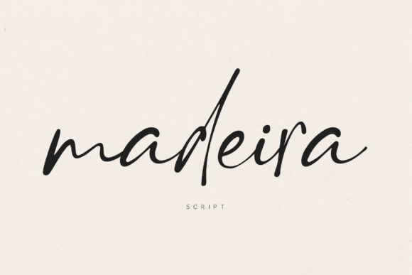 Madeira: The Art of Modern Handwritten Typography
