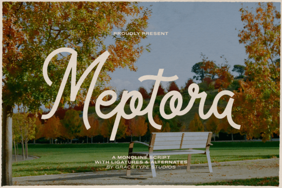 Meptora: Crafting Authentic & Modern Brand Identities