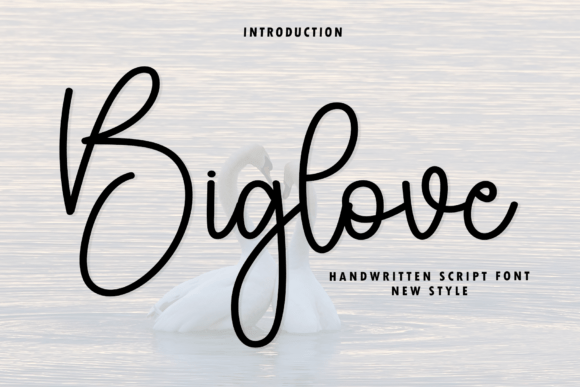 The Modern Elegance of Biglove Script