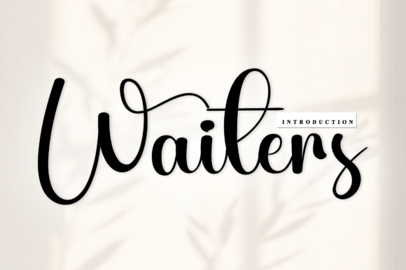 Waiters: Elevating Artisanal Branding with Rhythmic Script